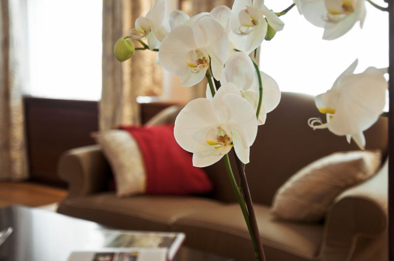 1010 Wien - Nobles Eigentum f�r h�chste Anspr�che! /  / 1010&nbsp;Wien / Bild 3