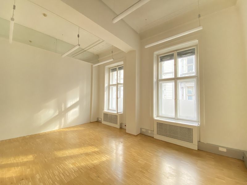 Stilvolle B�ro-Residenz auf der Bel Etage in Top Lage - Botschaftsviertel n�chst Schloss Belvedere  - zu kaufen in 1040 Wien /  / 1040&nbsp;Wien / Bild 9