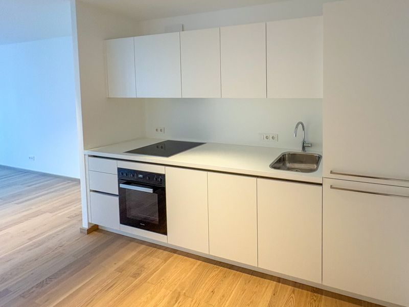 3-Zimmer-Wohnung mit 2 Bädern ? Erstbezug in den DC Flats - zu mieten in 1220 Wien / / 1220 Wien / Bild 5