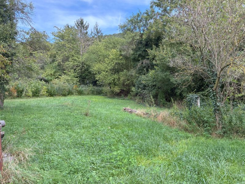 Exklusives Baugrundst�ck in begehrter Lage in Hinterbr�hl - zu kaufen in 2371 Hinterbr�hl /  / 2371&nbsp;Hinterbr�hl / Bild 2