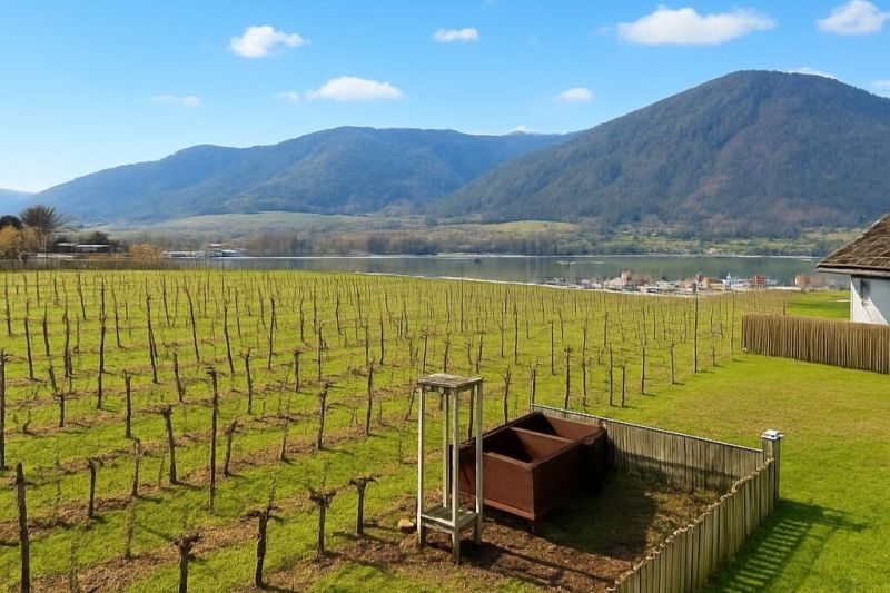 Wohnen in der Wachau: Einfamilienhaus in Ortsrandlage mit Blick ins Donautal - zu kaufen in 3610 Wei�enkirchen