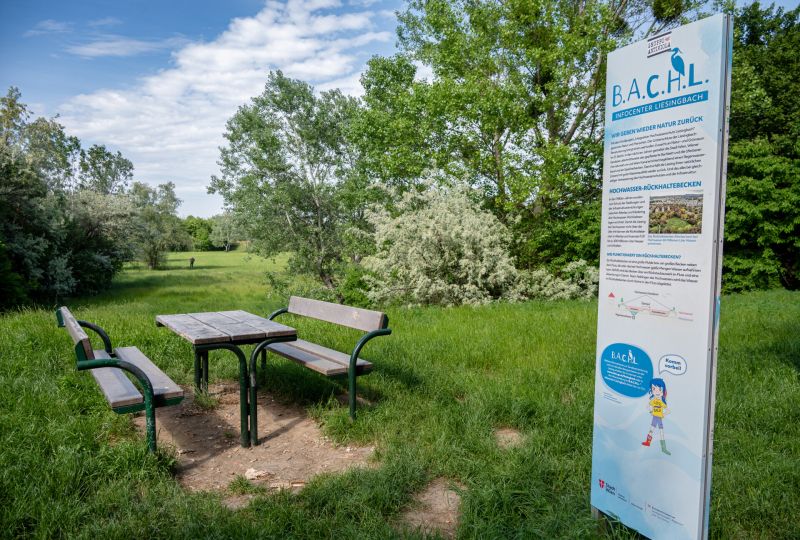 LIESING GARDENS - Family Living in Ruhelage beim Liesingbach, Balkonwohnung mit Blick ins Gr�ne - provisionsfrei zu kaufen in 1230 Wien /  / 1230&nbsp;Wien / Bild 0