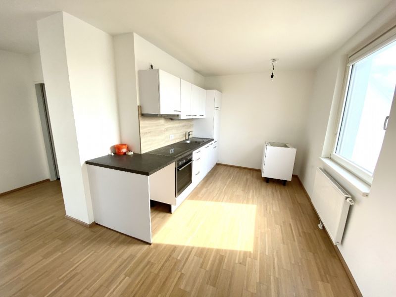 2 Zimmer Wohnung mit Dachterrasse - N�he U6 Floridsdorf in 1210 Wien zu mieten /  / 1210&nbsp;Wien / Bild 3