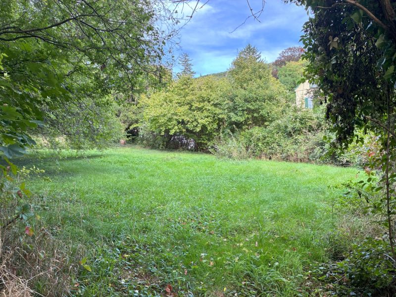 Exklusives Baugrundst�ck in begehrter Lage in Hinterbr�hl - zu kaufen in 2371 Hinterbr�hl /  / 2371&nbsp;Hinterbr�hl / Bild 0