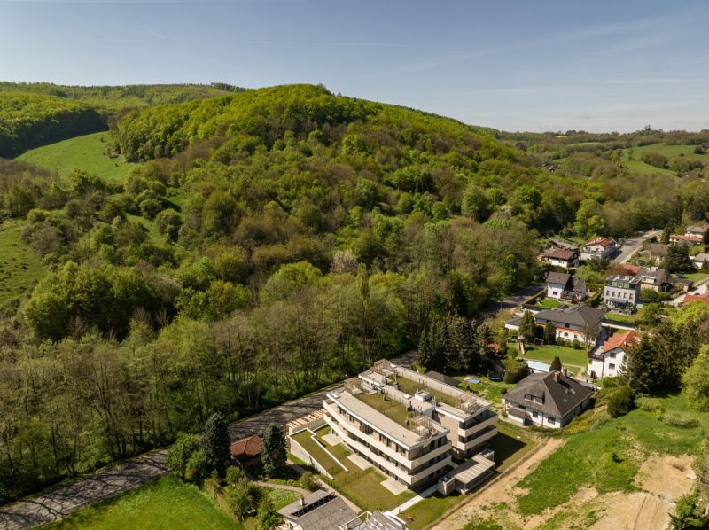Bezugsfertig: 3 Zimmer Gartenwohnung mit Luft-W�rme-Pumpe - jetzt kaufen in 2391 Kaltenleutgeben /  / 2391&nbsp;Kaltenleutgeben / Bild 7