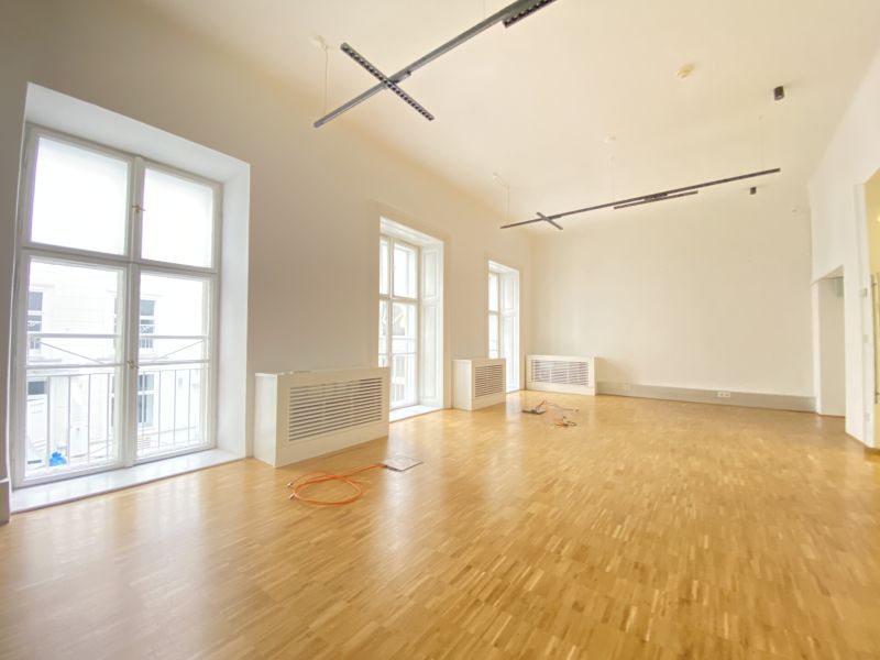 Wohnen und Arbeiten im historischen Palais - Fläche im Hochparterre - ehemalige Büroeinheit im Botschaftsviertel - zu kaufen in 1040 Wien / / 1040 Wien, Wieden / Bild 9