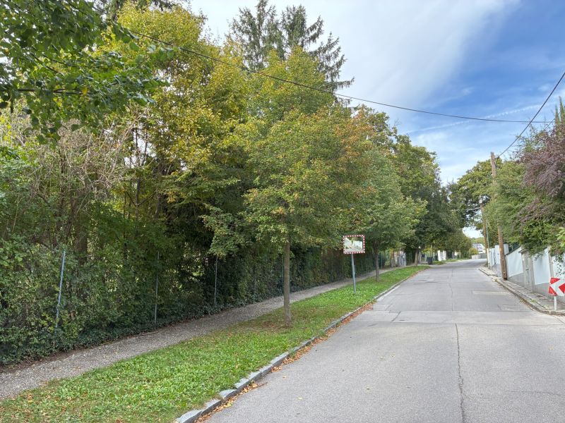 Exklusives Baugrundst�ck in begehrter Lage in Hinterbr�hl - zu kaufen in 2371 Hinterbr�hl /  / 2371&nbsp;Hinterbr�hl / Bild 3