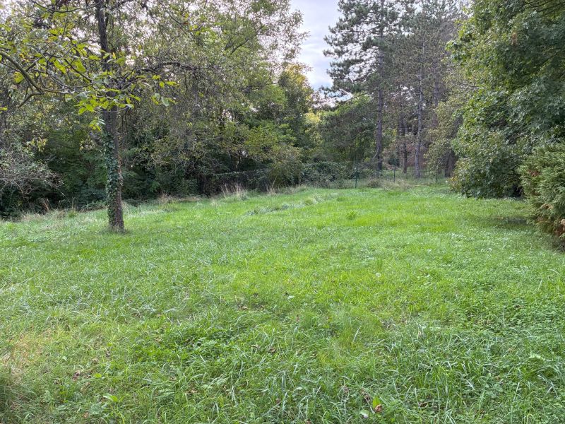 Exklusives Baugrundst�ck in begehrter Lage in Hinterbr�hl - zu kaufen in 2371 Hinterbr�hl /  / 2371&nbsp;Hinterbr�hl / Bild 7