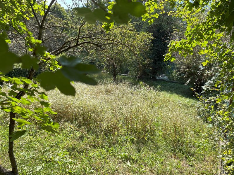 Sensationeller Ausblick - Sonniges Grundstück mit renovierungsbedürftigem Haus - zu kaufen in 1140 Wien / / 1140 Wien / Bild 2