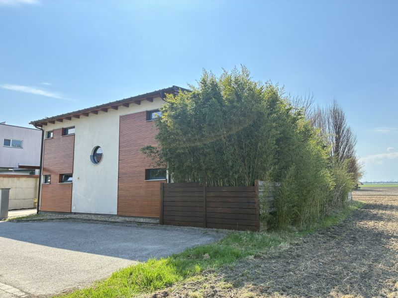 Absolute Ruhelage: Einfamilienhaus in Holzriegelbauweise - zu kaufen in 2482 M�nchendorf /  / 2482&nbsp;M�nchendorf / Bild 5