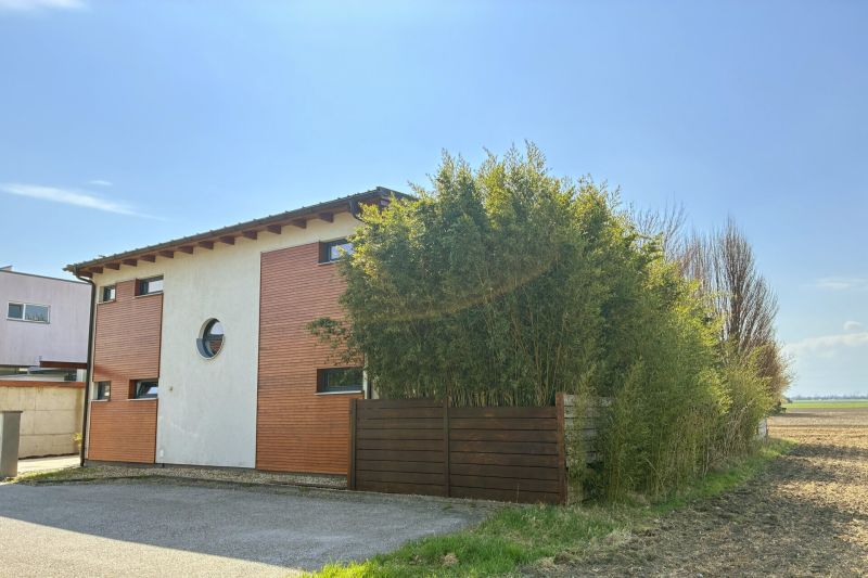 Absolute Ruhelage: Einfamilienhaus in Holzriegelbauweise - zu kaufen in 2482 M�nchendorf /  / 2482&nbsp;M�nchendorf / Bild 0