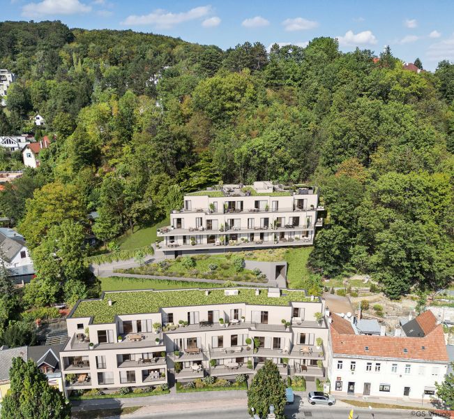 PROVISIONSFREI: Terrassentraum: Green Living mit gro�er S�d-Terrasse und Blick ins Gr�ne - 3 Zimmer-Wohnung zu kaufen in 2391 Kaltenleutgeben /  / 2391&nbsp;Kaltenleutgeben / Bild 2