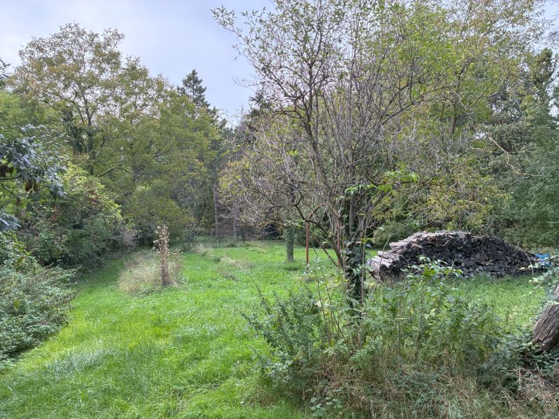 Exklusives Baugrundst�ck in begehrter Lage in Hinterbr�hl - zu kaufen in 2371 Hinterbr�hl /  / 2371&nbsp;Hinterbr�hl / Bild 5