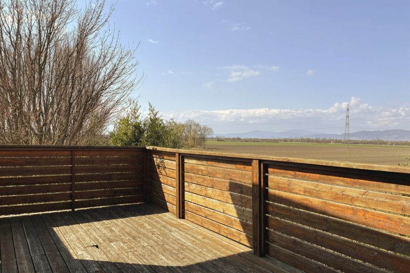 Absolute Ruhelage: Einfamilienhaus in Holzriegelbauweise - zu kaufen in 2482 M�nchendorf /  / 2482&nbsp;M�nchendorf / Bild 5