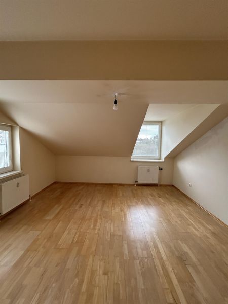 Bastlerwohnung mit Terrasse am Arthaberplatz /  / 1100 Wien / Bild 4