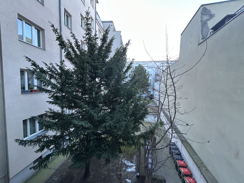 Pärchenhit in zentraler Lage / / 1160 Wien / Bild 9