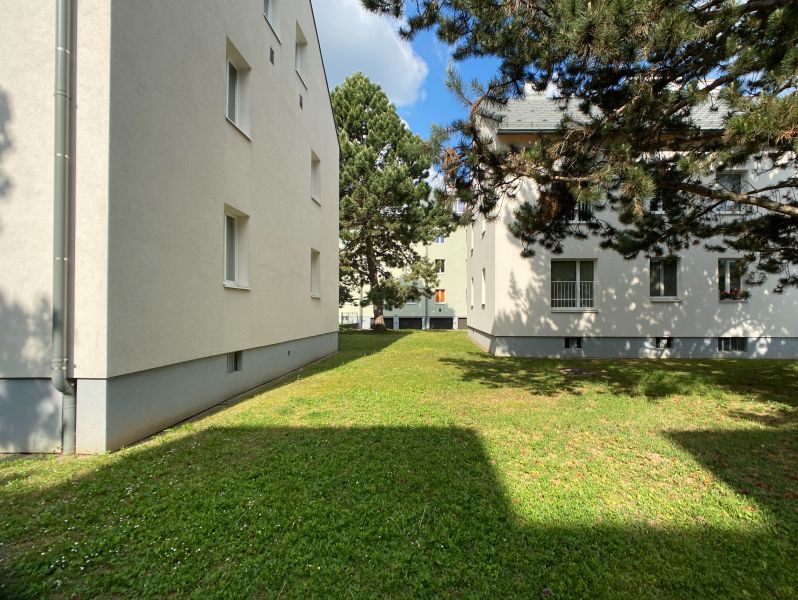 Ruhige 3-Zimmer Dachgeschosswohnung in grüner Lage in Hietzing / / 1130 Wien / Bild 2
