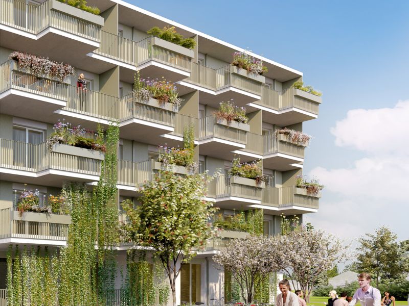 Hocheffizientes Energiekonzept für niedrige Energiekosten / / 1220 Wien / Bild 6