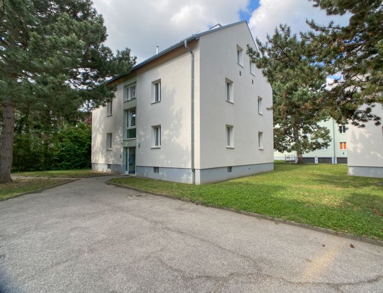 Ruhige 3-Zimmer Dachgeschosswohnung in grüner Lage in Hietzing