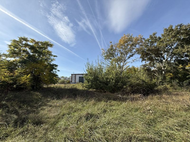 BAULAND WOHNEN FÜR PROJEKTENTWICKLER - 16.000 m² / / 2602 Blumau-Neurißhof / Bild 8