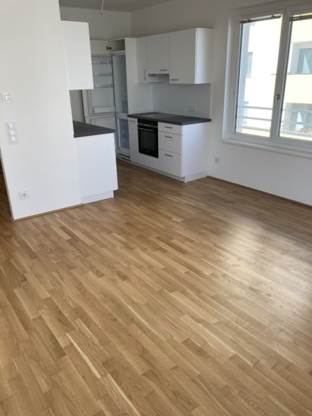 PROVISIONSFREIER KAHLENBERGBLICK - 2-Zimmer-Wohnung mit großzügigem Balkon / / 1210 Wien / Bild 5