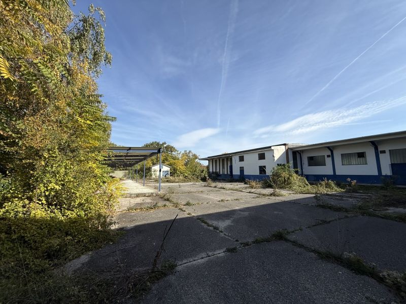 BAULAND WOHNEN FÜR PROJEKTENTWICKLER - 16.000 m² / / 2602 Blumau-Neurißhof / Bild 6