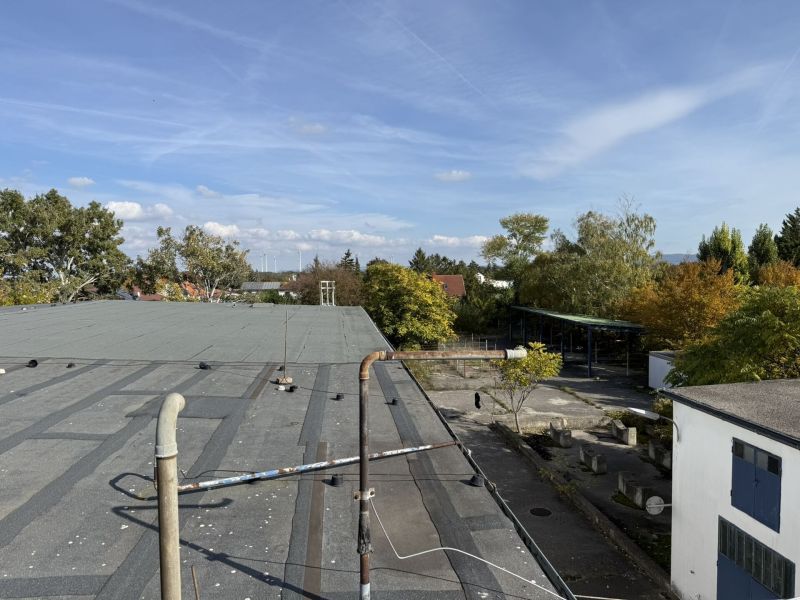 BAULAND WOHNEN FÜR PROJEKTENTWICKLER - 16.000 m² / / 2602 Blumau-Neurißhof / Bild 3