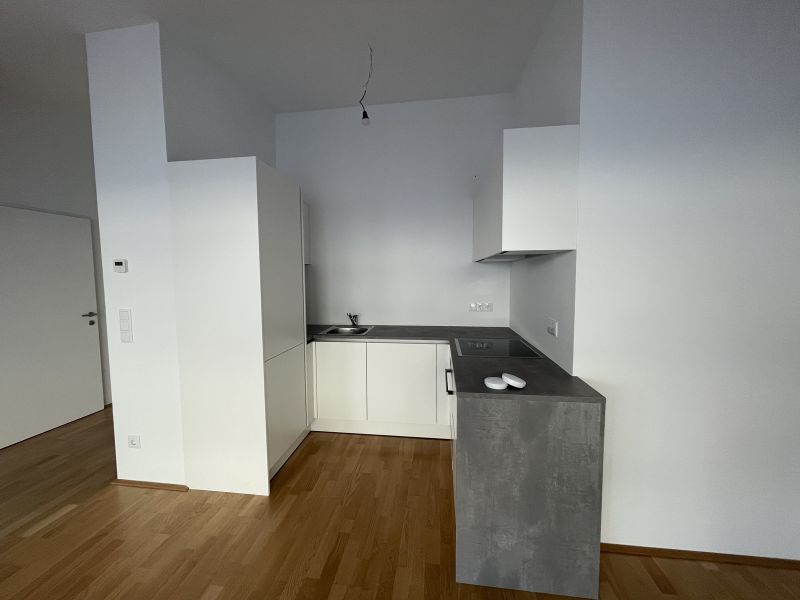 Wohnen und entspannen: 2 Zimmer mit idyllischer Terrasse mit hervorragender Anbindung | top Lage /  / 1210&nbsp;Wien / Bild 1