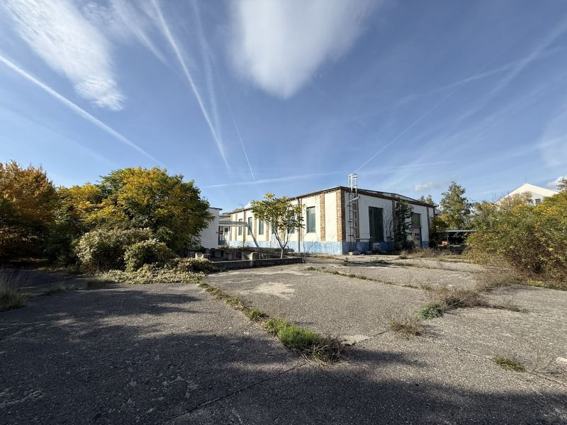 BAULAND WOHNEN FÜR PROJEKTENTWICKLER - 16.000 m² / / 2602 Blumau-Neurißhof / Bild 9