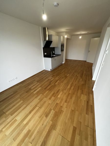 Traumhaftes NEUBAUPROJEKT: 2 Zimmer | hochwertige Ausstattung und Terrasse | zentrale Lage /  / 1100&nbsp;Wien / Bild 2