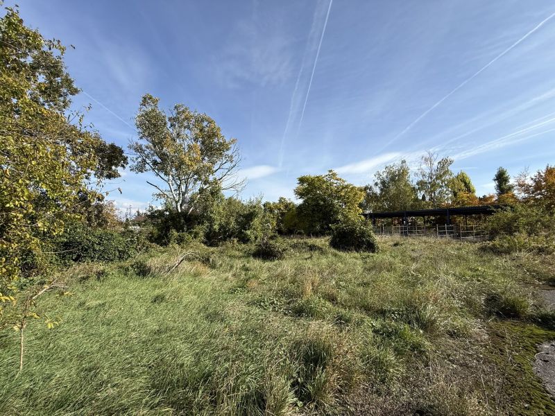 BAULAND WOHNEN FÜR PROJEKTENTWICKLER - 16.000 m² / / 2602 Blumau-Neurißhof / Bild 1