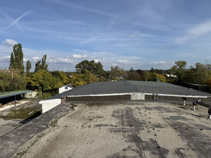 BAULAND WOHNEN FÜR PROJEKTENTWICKLER - 16.000 m² / / 2602 Blumau-Neurißhof / Bild 4
