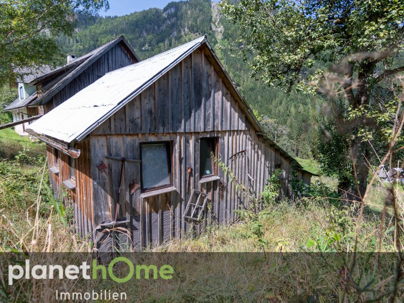 Raritt: Waldbauernhaus im Naturpark tscher-Tormuer /  / 3223 Trbenbach / Bild 5