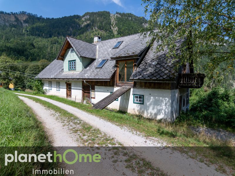 Raritt: Waldbauernhaus im Naturpark tscher-Tormuer /  / 3223 Trbenbach / Bild 4