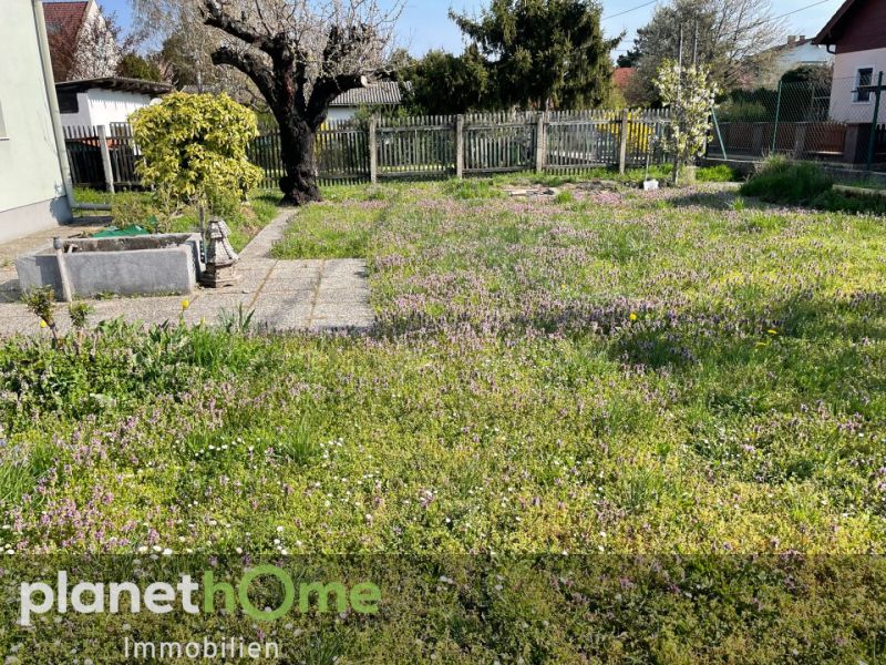 Baugrundst�ck BK I / 6,0 m / ogk /  / 1220&nbsp;Donaustadt / Bild 1