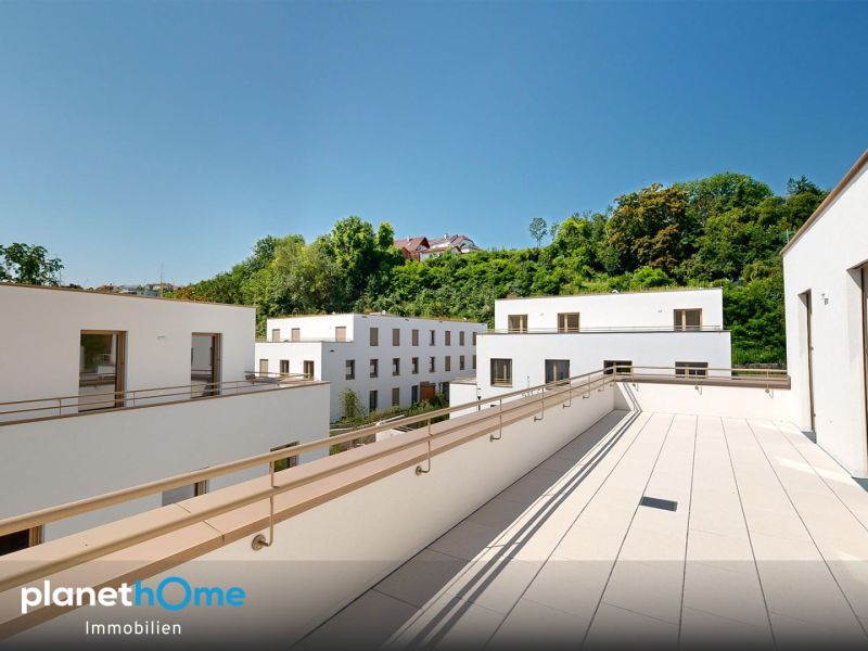 Erstbezug : Neubau : 4-Zimmer-Wohnung : Terrasse