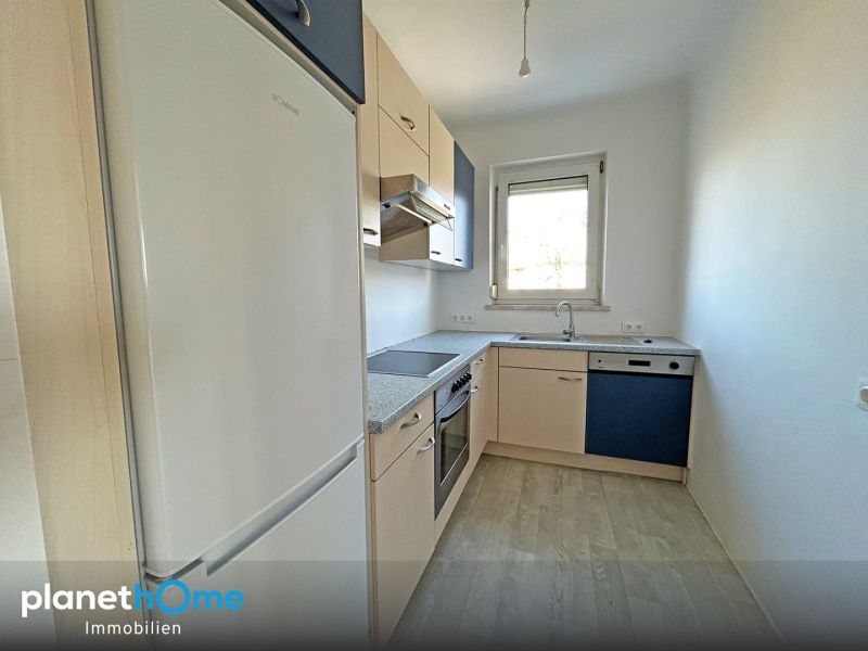 DG ohne Schr�ge / riesiger Gemeinschaftsgarten / N�he Bockflie� /  / 2214&nbsp;Auersthal / Bild 2