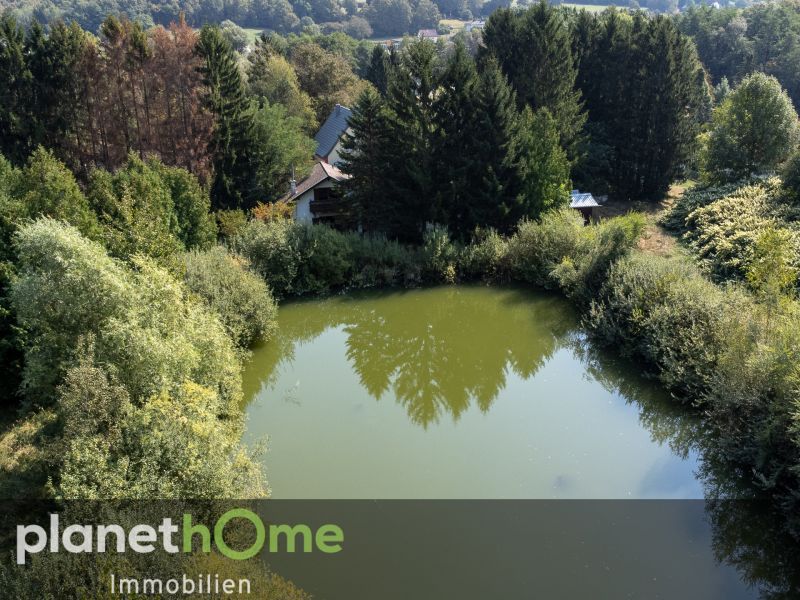 Direkte Thermennhe in Stegersbach ? Traumobjekt mit Altbestand, Fischteich und Wald /  / 7551 Stegersbach / Bild 3
