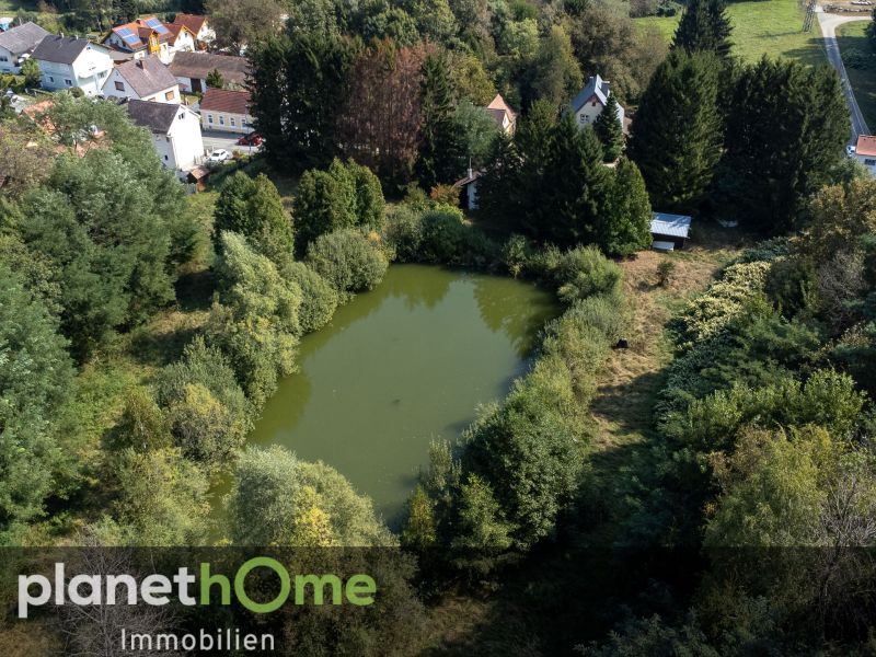 Direkte Thermennhe in Stegersbach ? Traumobjekt mit Altbestand, Fischteich und Wald /  / 7551 Stegersbach / Bild 4