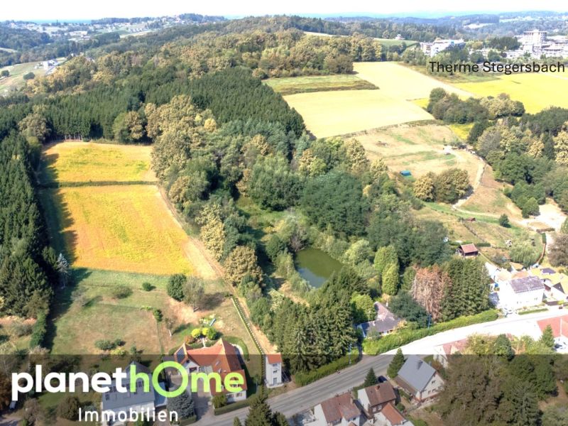 Direkte Thermennähe in Stegersbach ? Traumobjekt mit Altbestand, Fischteich und Wald