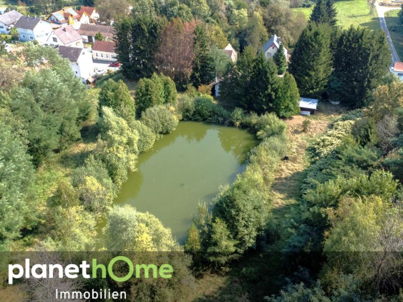 Direkte Thermennhe in Stegersbach ? Traumobjekt mit Altbestand, Fischteich und Wald /  / 7551 Stegersbach / Bild 4