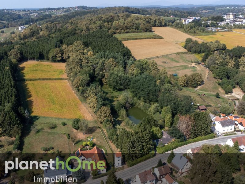 Direkte Thermennähe in Stegersbach ? Traumobjekt mit Altbestand, Fischteich und Wald