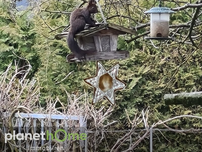 Stilvolle Villa in Premiumlage-Pstlingberg! /  / 4048 Puchenau / Bild 7