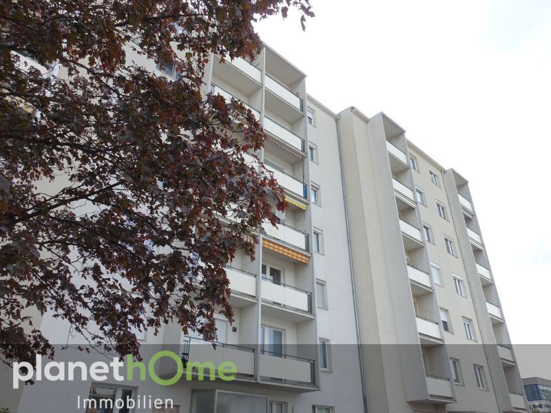 Gnstige Familienwohnung in Mdling /  / 2340 Mdling / Bild 2