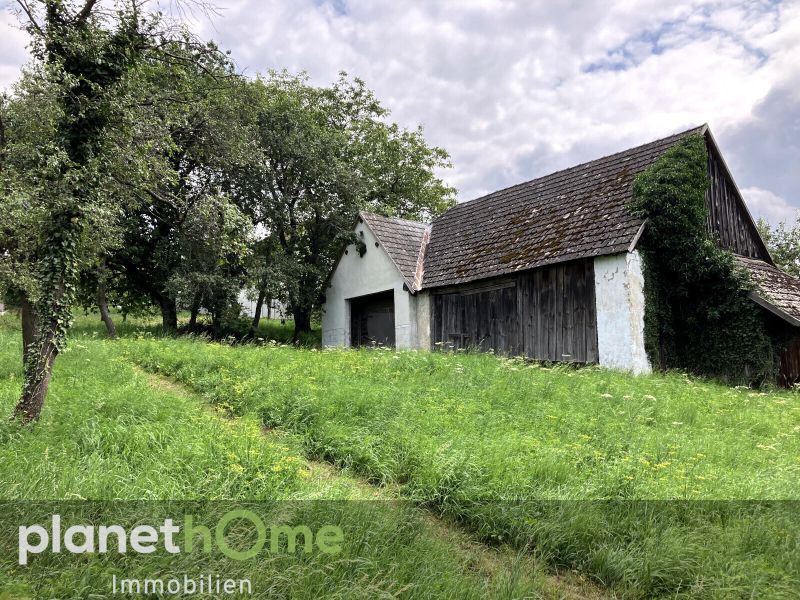 Bauland mit landwirtschaftlichem Gebude und Altbaumbestand /  / 7435 Unterkohlsttten / Bild 8