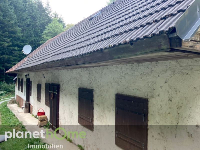 Erhaltenswertes Objekt im Grnland /  / 2802 Hochwolkersdorf / Bild 1