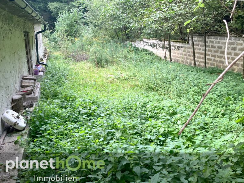 Erhaltenswertes Objekt im Grnland /  / 2802 Hochwolkersdorf / Bild 3