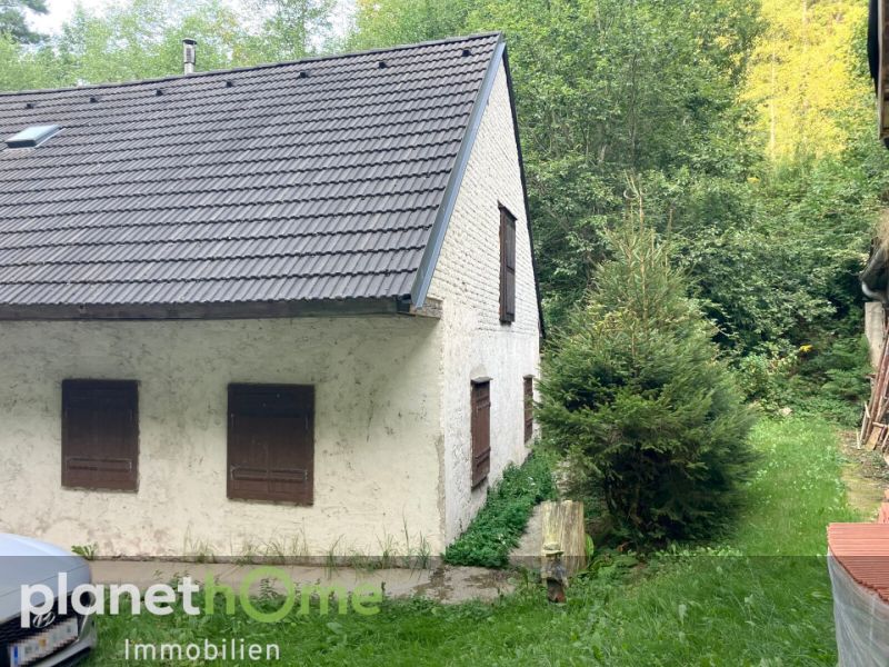Erhaltenswertes Objekt im Grnland /  / 2802 Hochwolkersdorf / Bild 2