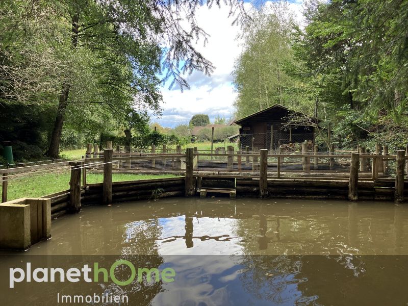 Freude am Landleben mit Haus, Hof, Wiese, Wald und Fischteich /  / 7442 Langeck im Burgenland / Bild 3