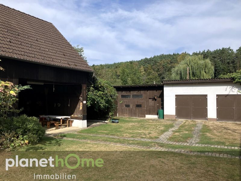 Freude am Landleben mit Haus, Hof, Wiese, Wald und Fischteich /  / 7442 Langeck im Burgenland / Bild 7